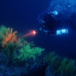 Corso di diving in Sicilia
