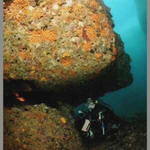 Corso di diving in Sicilia