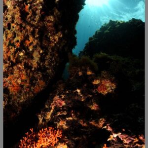 Corso di diving in Sicilia